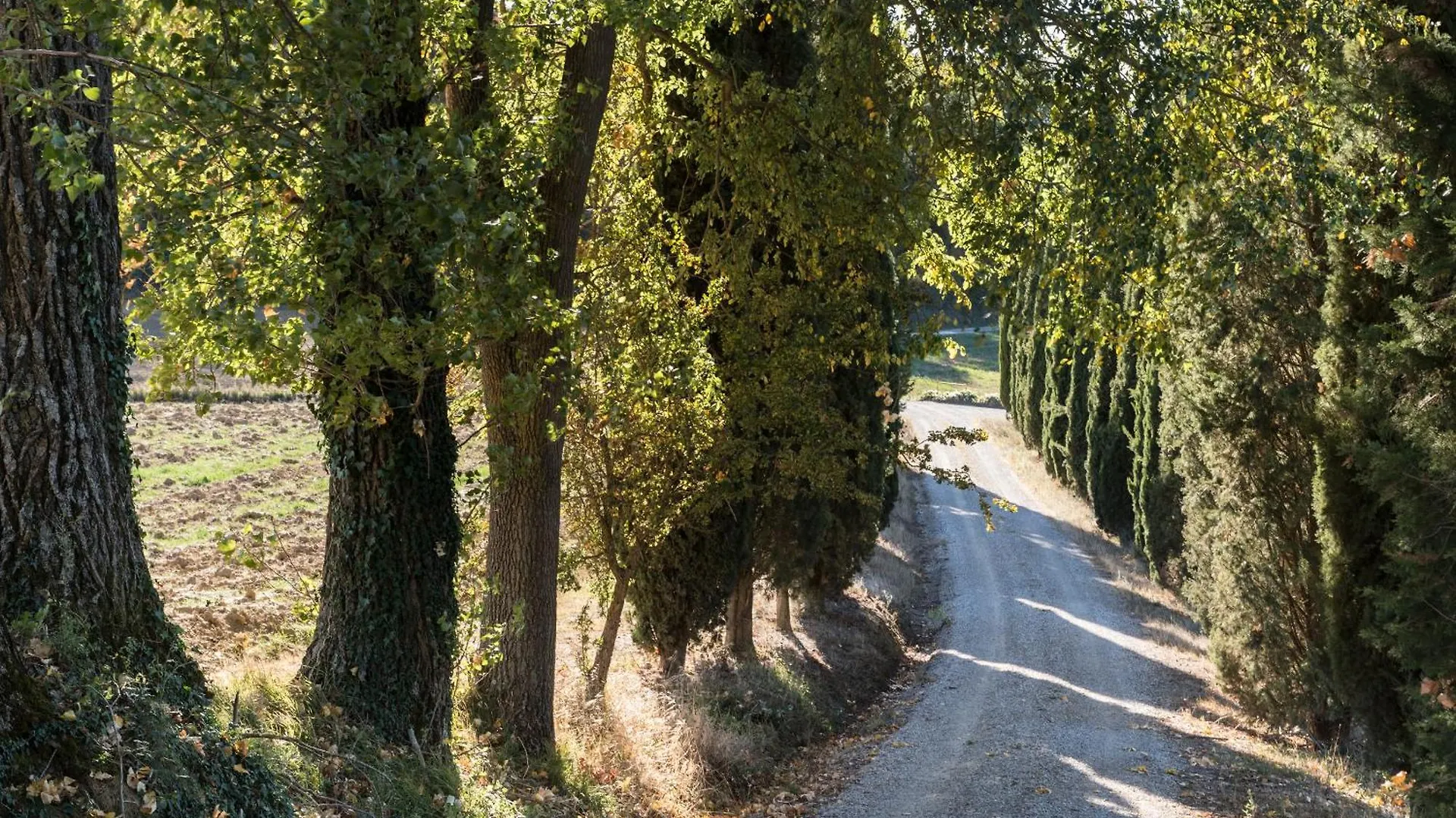 Villa Il Giardinello Torrenieri 0*, Montalcino Italy
